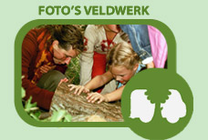 veldwerk foto's