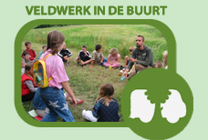 veldwerk_buurt