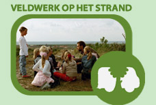 veldwerk_strand